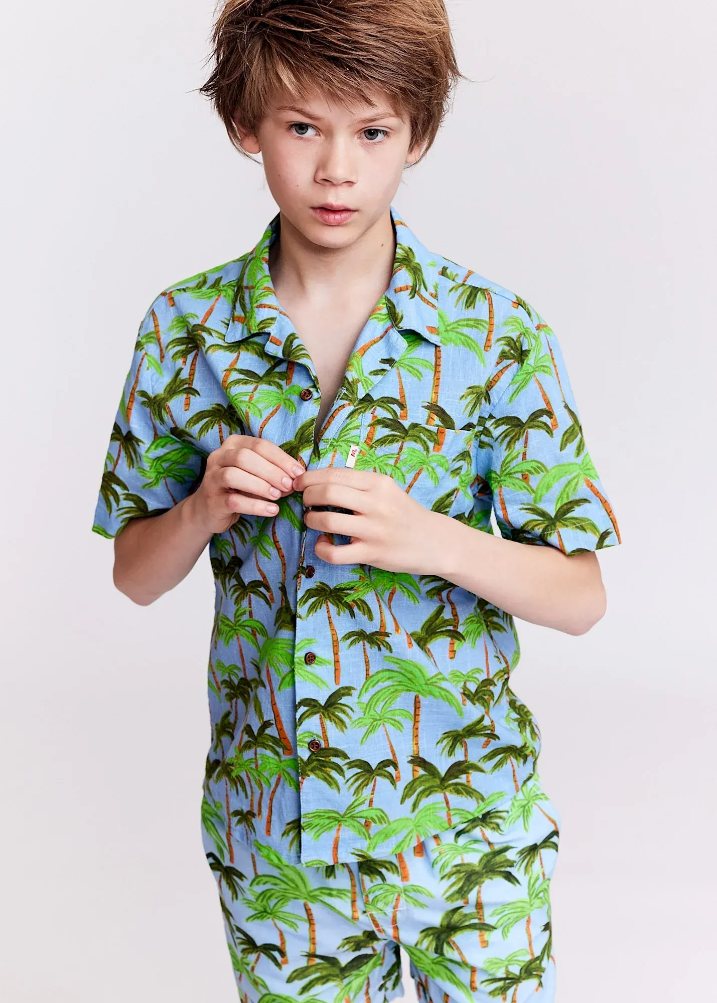 Hawaii Shirt Palmtrees