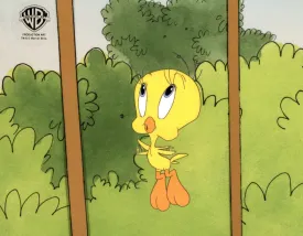 Sylvester and Tweety Mysteries Original Production Cel: Tweety
